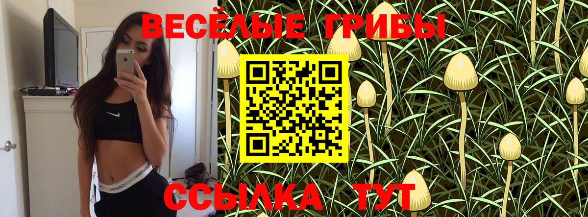 Нурлат  Галлюциногенные грибы Psilocybine cubensis  Вход с VPN 
