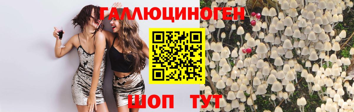 Псилоцибиновые грибы ЛСД Нурлат