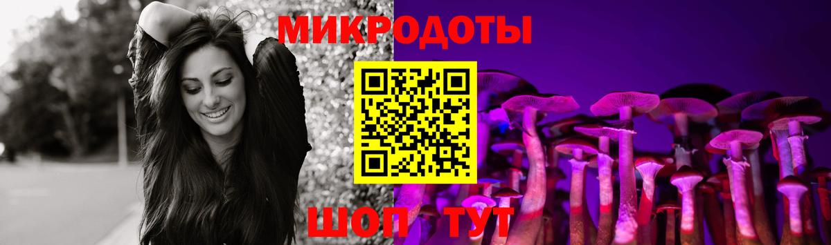 наркота  Нурлат  Псилоцибиновые грибы MAGIC MUSHROOMS 