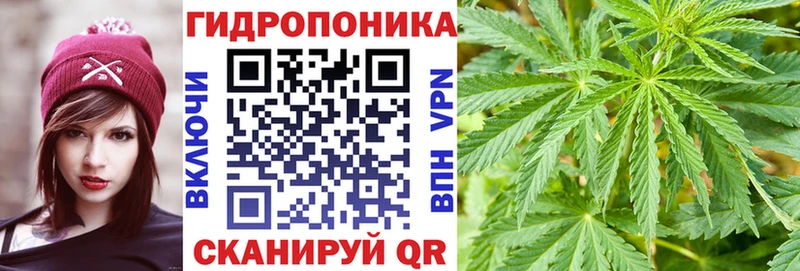 Бошки марихуана White Widow  купить   Нурлат 